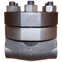 1878 Swing Check Valve